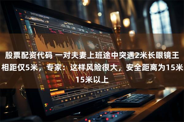 股票配资代码 一对夫妻上班途中突遇2米长眼镜王蛇，相距仅5米，专家：这样风险很大，安全距离为15米以上